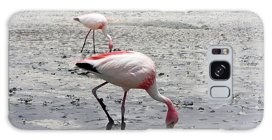 Bird Galaxy Case featuring the photograph James's Flamingo, Bolivia by Aidan Moran