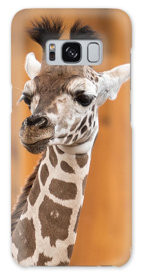 Art Galaxy S8 Case featuring the photograph Jasmine by Phil Spitze