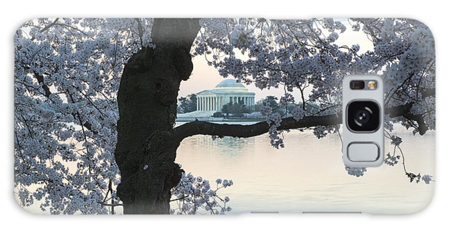 Cherry Tree Galaxy Case featuring the photograph Jefferson Memorial and Cherry Tree by Dennis Kowalewski