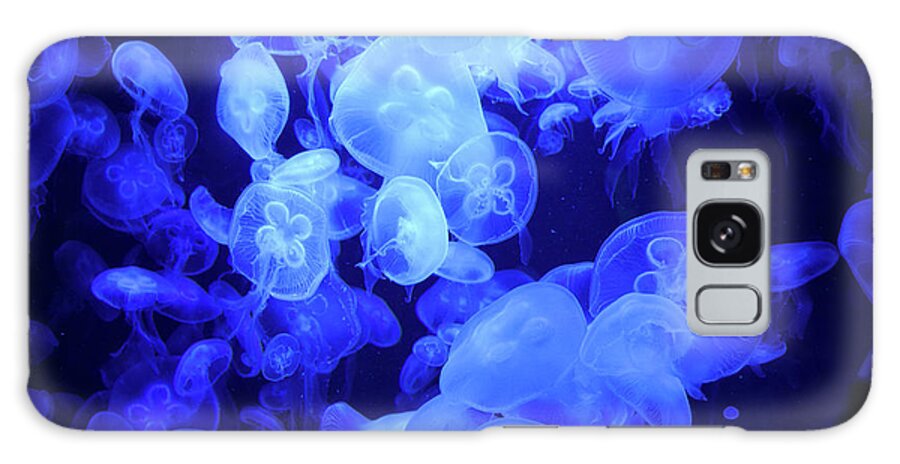 Animals Galaxy S8 Case featuring the photograph Jellyfish by Ingrid Dendievel
