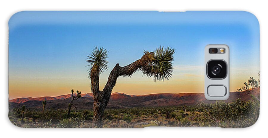 Desert Galaxy Case featuring the photograph Joshua Tree by Alison Frank