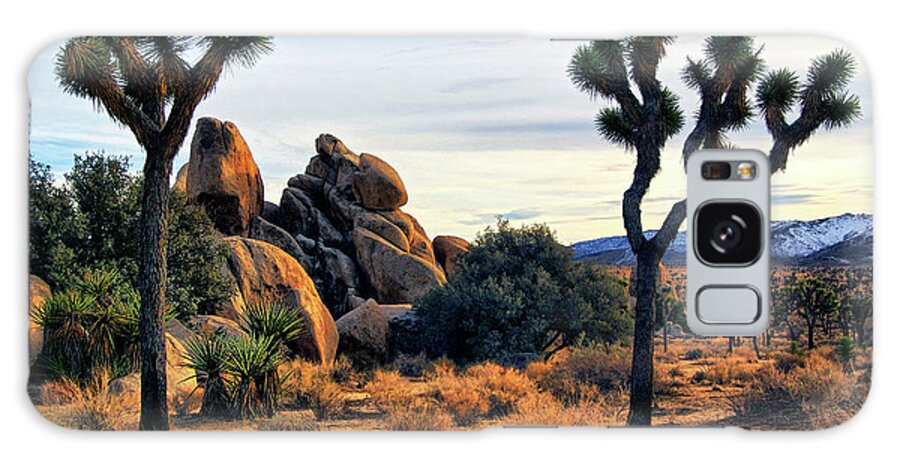Joshua Tree National Park Galaxy Case featuring the photograph Joshua Tree in Winter by Sandra Selle Rodriguez