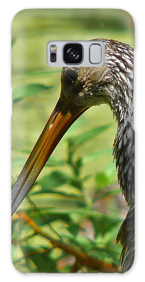 Bird Galaxy Case featuring the photograph Limpkin by Carl Moore