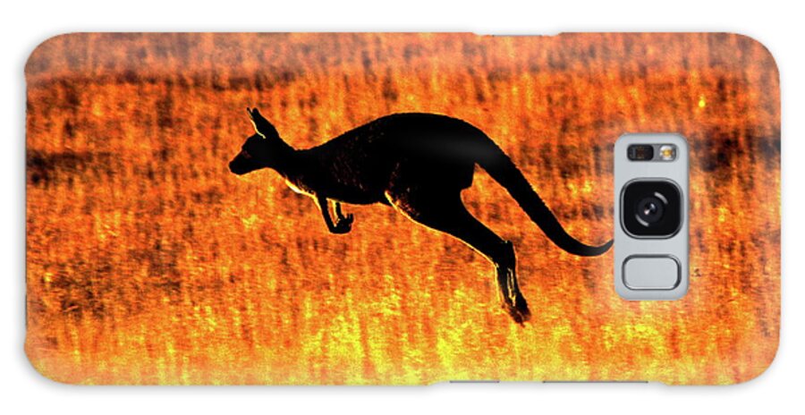 Mammals Galaxy S8 Case featuring the photograph Kangaroo Sunset by Bruce J Robinson