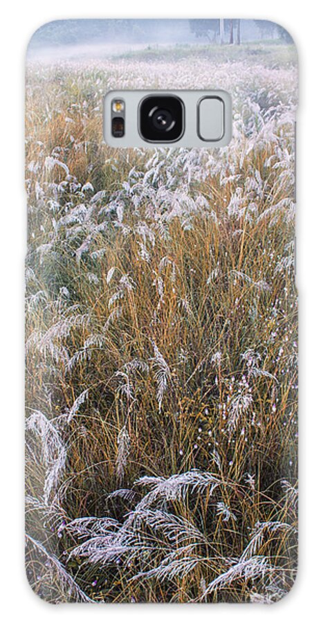 Kans Galaxy S8 Case featuring the photograph Kans grass in mist by Hitendra SINKAR