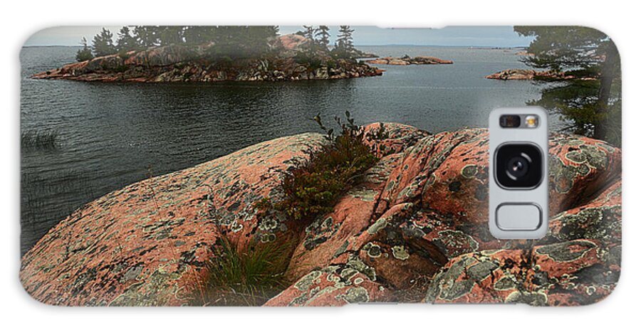 Killarney Provincial Park Galaxy Case featuring the photograph Killarney Chikanishing Trail-1 by Steve Somerville