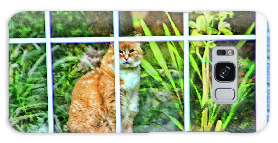 Cat Galaxy Case featuring the photograph Kitty Reflections by Wendy McKennon