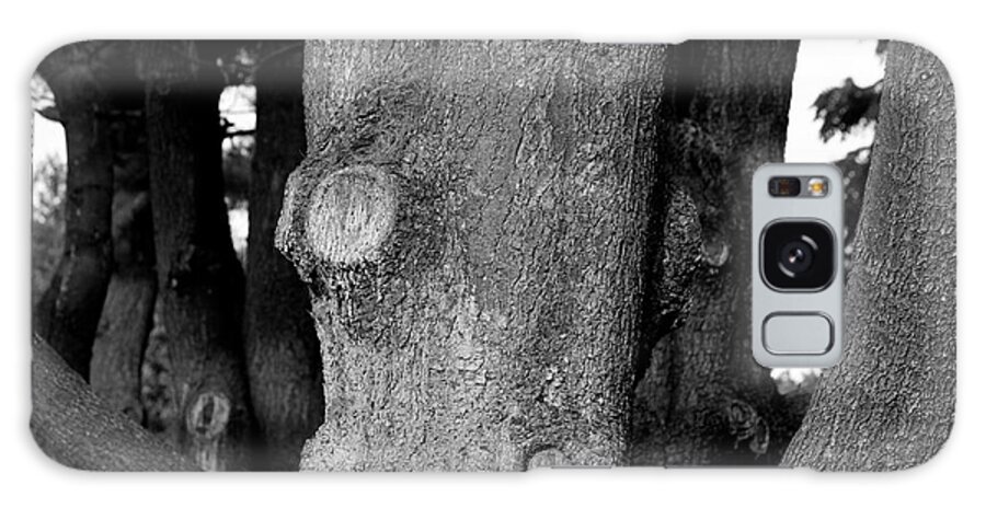 Large Tree Galaxy Case featuring the photograph kn by Steven Macanka