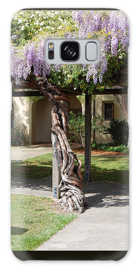 Wisteria Galaxy Case featuring the photograph Knarled Wisteria by Carolyn Donnell