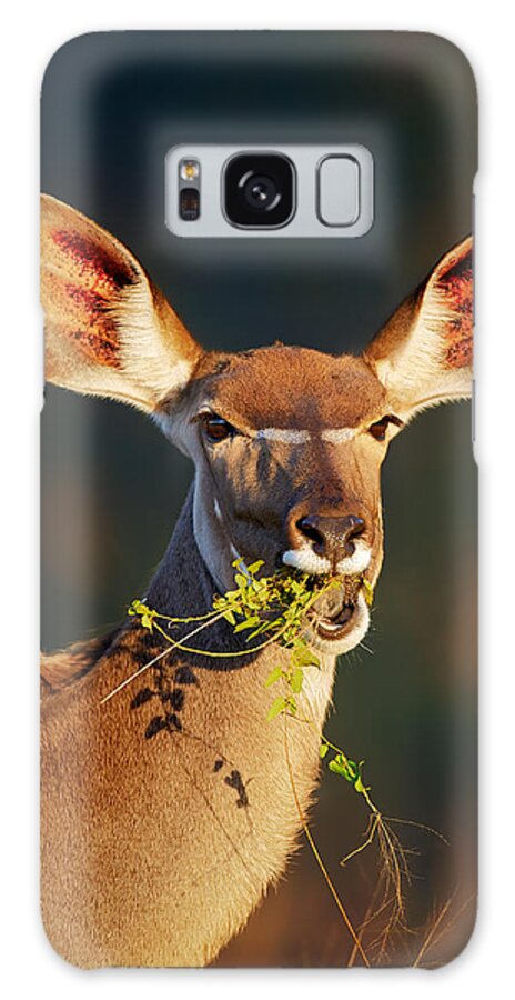 Kudu Galaxy Case featuring the photograph Kudu portrait eating green leaves by Johan Swanepoel