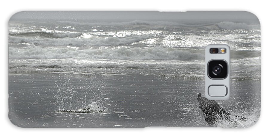 Dog Galaxy Case featuring the photograph Lady 2 Pacific Coast by Sandra Nesbit