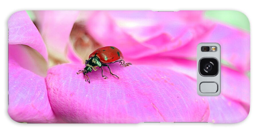 Lady Bug Galaxy Case featuring the photograph Lady Bug by Lynellen Nielsen