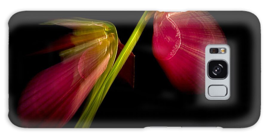 Photography Galaxy Case featuring the photograph Lady Slippers as Running Shoes by Frederic A Reinecke