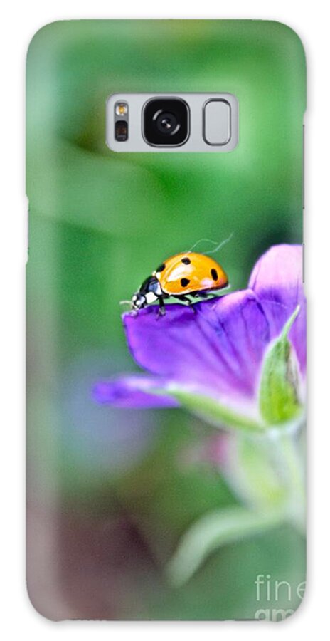 Macro Galaxy Case featuring the photograph Ladybug by Elisabeth Derichs