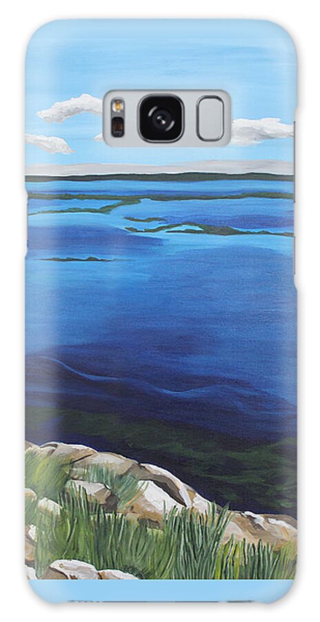 Lake Galaxy Case featuring the painting Lake Toho by Annette M Stevenson