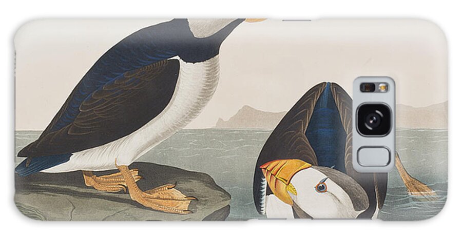 Puffin Galaxy Case featuring the painting Large Billed Puffin by John James Audubon
