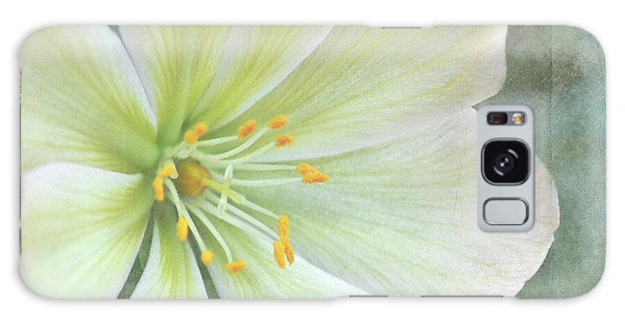 Large Flower Galaxy Case featuring the pyrography Large Flower by Lyn Randle