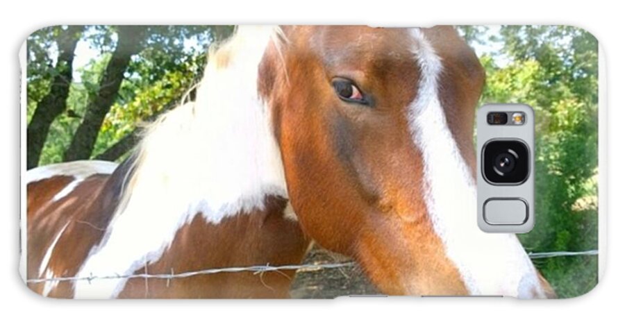 Horse Galaxy Case featuring the photograph Last Week, I Met My First #horse! She by Shari Warren