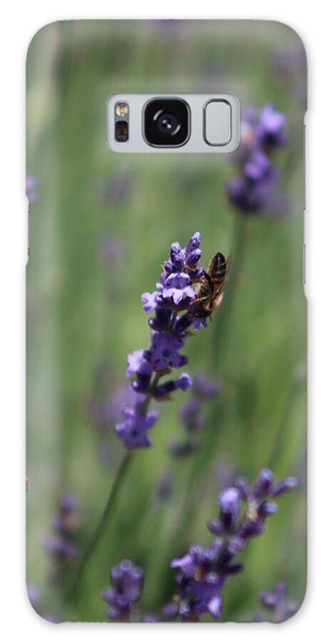 Deep Purple Lavender Galaxy S8 Case featuring the photograph Lavender and Honey Bee by Colleen Cornelius