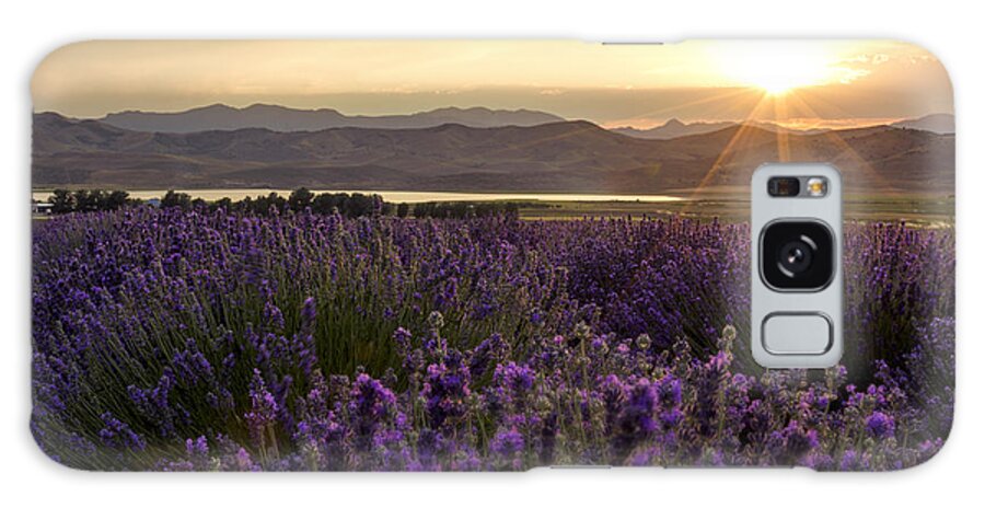 Lavender Glow Galaxy Case featuring the photograph Lavender Glow by Chad Dutson