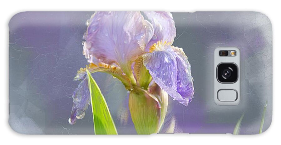 Beautiful Galaxy Case featuring the digital art Lavender iris in the morning sun by Debra Baldwin