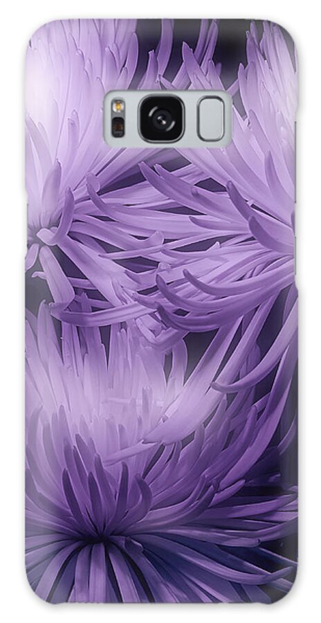 Mums Galaxy S8 Case featuring the photograph Lavender Mums by Tom Mc Nemar