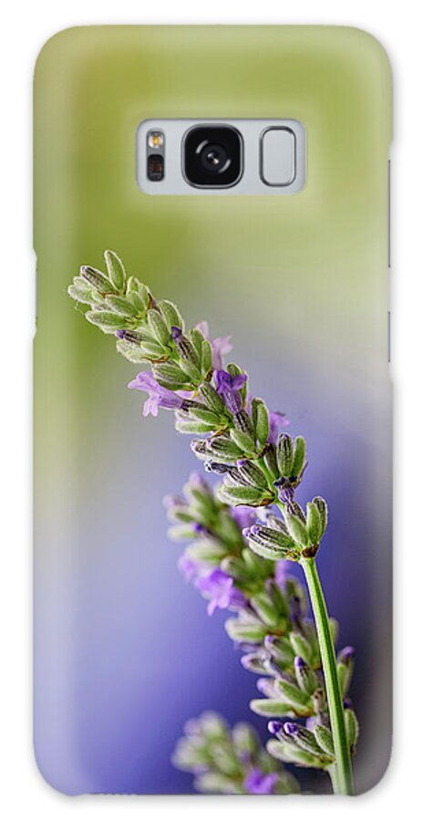 Lavender Galaxy Case featuring the photograph Lavender by Nailia Schwarz