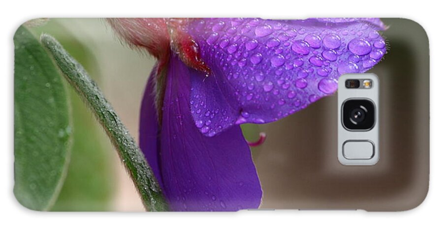 Botanical Galaxy Case featuring the photograph Tibouchina Lavender Raindrops by Richard Thomas