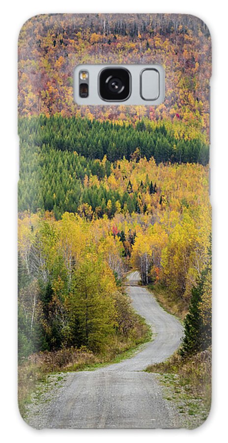 Adventure Galaxy Case featuring the photograph Layers of Color Flank Dirt Road by Kelly VanDellen