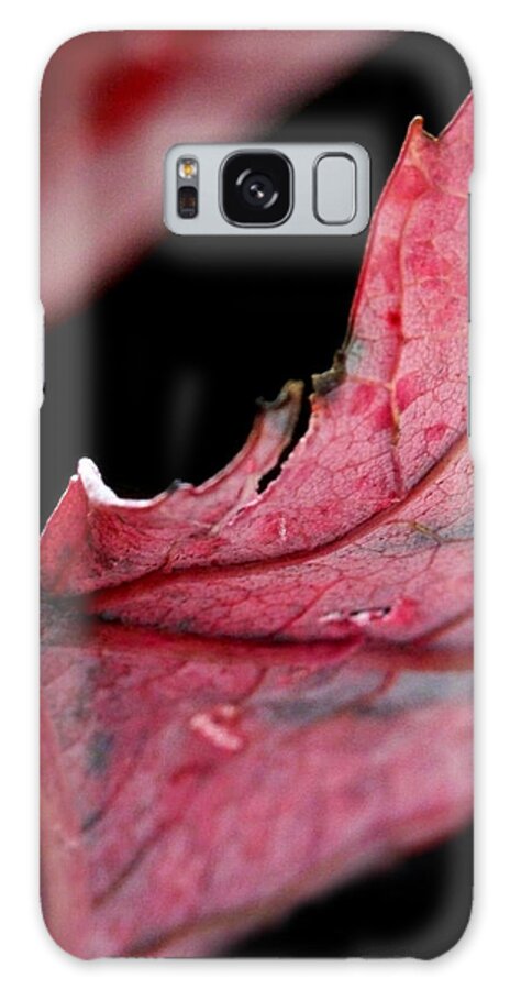 Macro Galaxy S8 Case featuring the photograph Leaf Study I by Lauren Radke