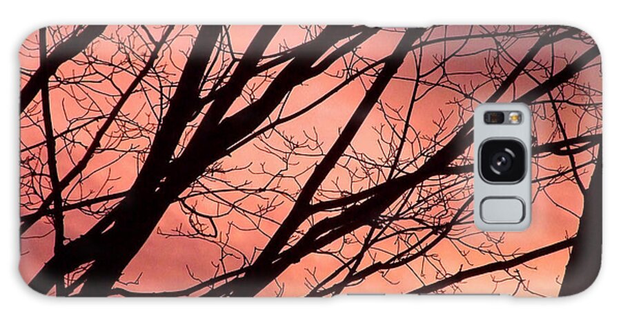 Artoffoxvox Galaxy Case featuring the photograph Leaning into Sunset Photograph by Kristen Fox