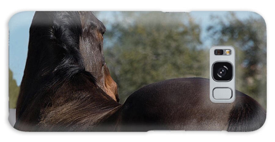 Horse Galaxy Case featuring the photograph Leo - 1 Over the Shoulder by Sandra Nesbit