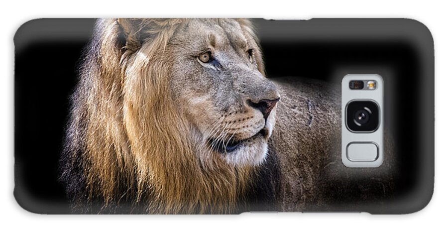 Crystal Yingling Galaxy S8 Case featuring the photograph Leo by Ghostwinds Photography