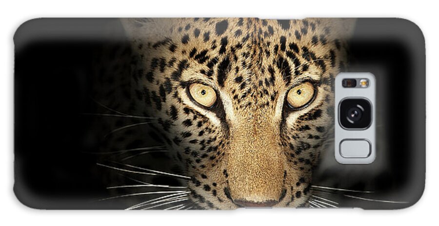 Leopardeyesdarkblackbackgroundwildlifeanimalmammalwildcatpantherapardusspottedfierceintensestarelookpowerfulpredatorcloseupclose-upclosepiercinglicktonguefrontviewafricaphotographonenobodyportraitsafaripawyellownaturedetail015092rs2 Galaxy Case featuring the photograph Leopard In The Dark by Johan Swanepoel