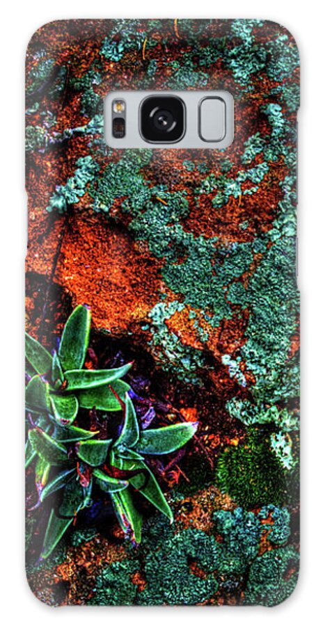Arizona Galaxy Case featuring the photograph Lichen, Moss and Desert Sage by Roger Passman