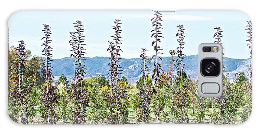 Tree Farm Galaxy Case featuring the photograph Life on a Tree Farm-Foothills View #1 by Cindy Schneider
