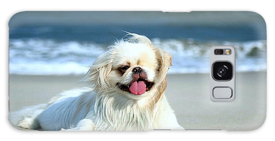 Pekingese Galaxy Case featuring the photograph Lifes a Beach by Ania M Milo