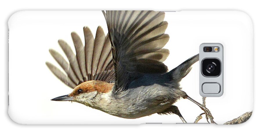 Nuthatch Galaxy Case featuring the photograph Lift Off by Jerry Griffin