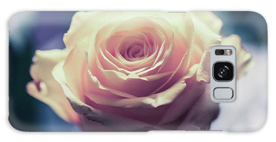 Art Galaxy Case featuring the photograph Light Pink Head Of A Rose On Blue Background by Amanda Mohler