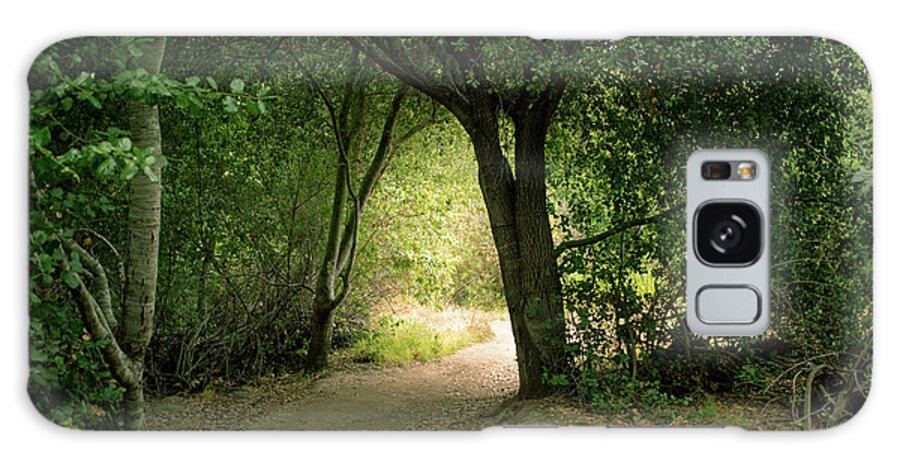 Trees Galaxy Case featuring the photograph Light Through The Tree Tunnel by Alison Frank