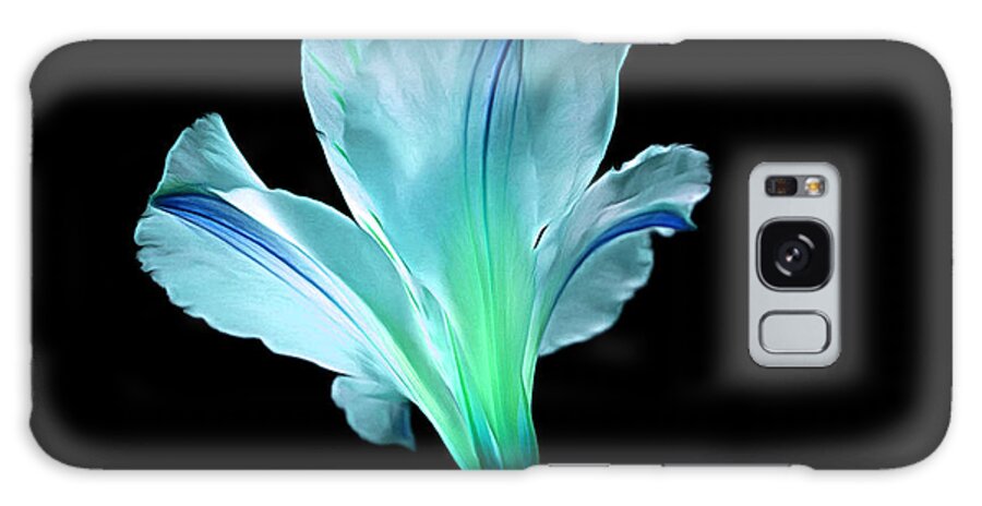 Amaryllis Galaxy S8 Case featuring the photograph Light Up Your Soul by Krissy Katsimbras