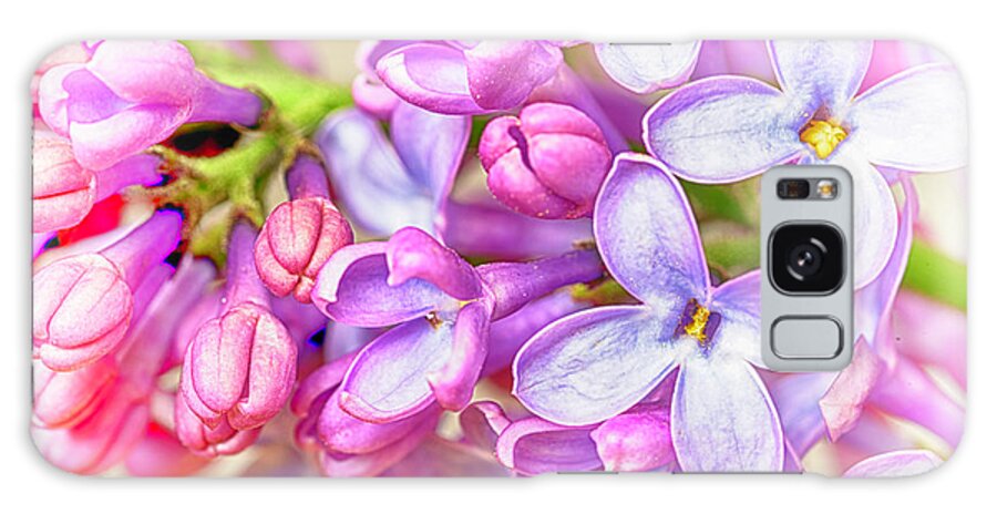Spring Galaxy Case featuring the photograph Lilac Flowers by John Williams