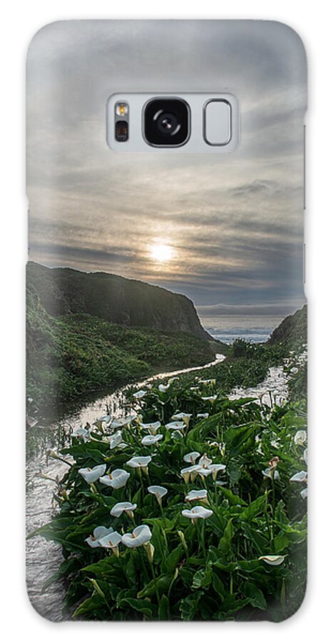 Big Sur Galaxy Case featuring the photograph Lilies Of Garrapata by Bill Roberts