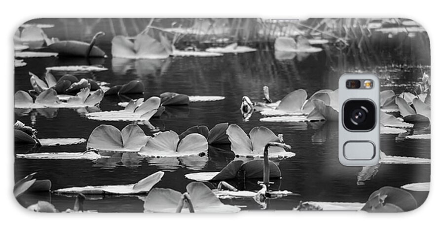 Landscapes Galaxy Case featuring the photograph Lilly Pond by Steven Clark