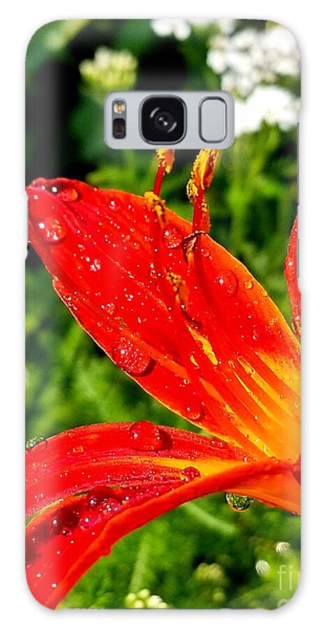 Sea Galaxy Case featuring the photograph Lily and raindrops by Michael Graham