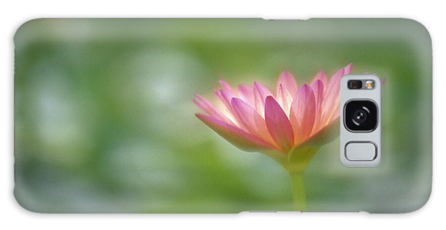 Anther Galaxy Case featuring the photograph Lily In Pond by Ron Dahlquist - Printscapes