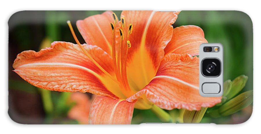 Flower Galaxy Case featuring the photograph Lily by Nicole Lloyd