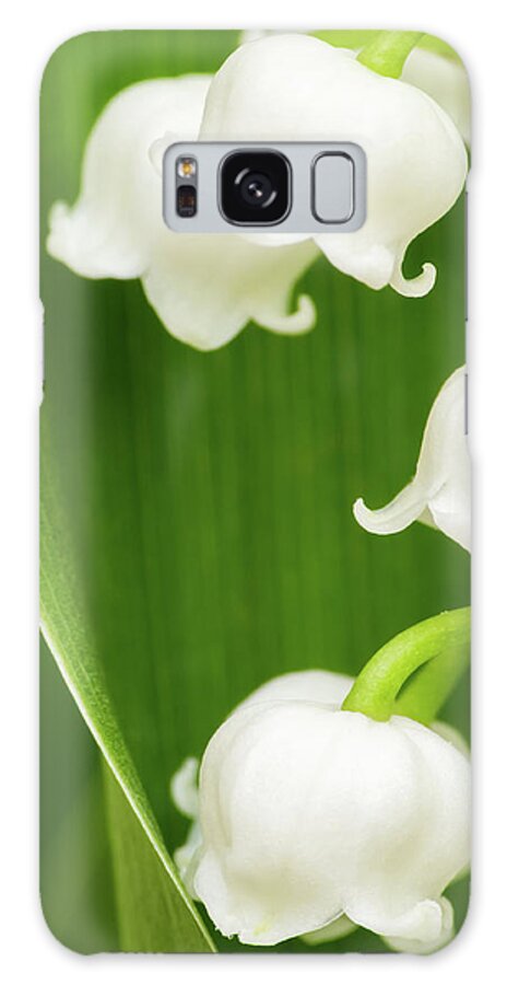 Lily Of The Valley Galaxy Case featuring the photograph Lily of the Valley by Wim Lanclus