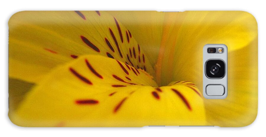 Yellow Galaxy Case featuring the photograph Lily by Rhonda Barrett