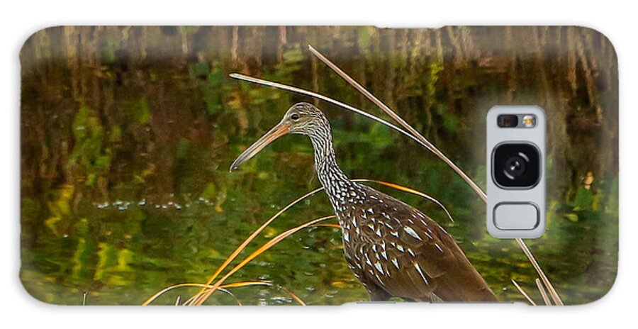 Limpkin Galaxy Case featuring the photograph Limpkin at Water's Edge by Tom Claud